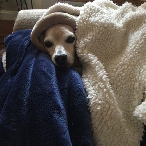 Meet your Posher, Ellen